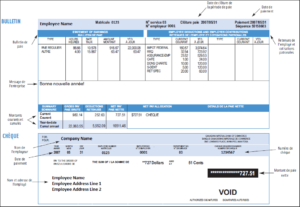 payslip for Canada Tax